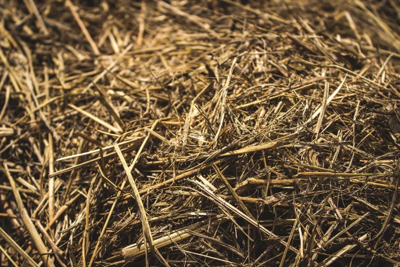 Straw Bale-1