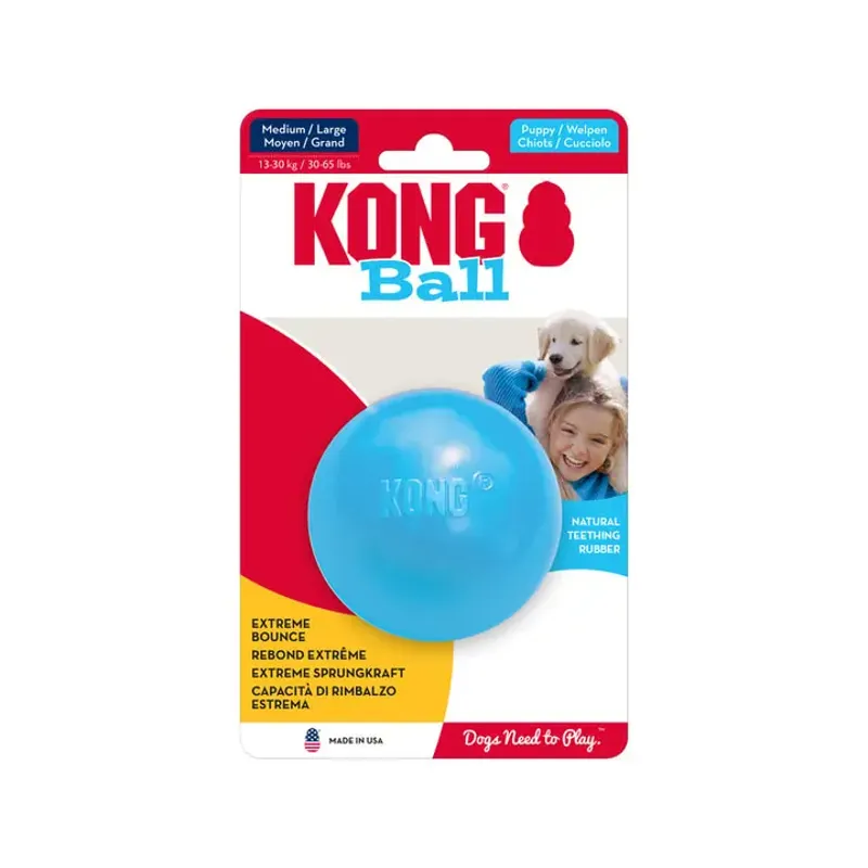 KONG Puppy Ball - Blue Small-1