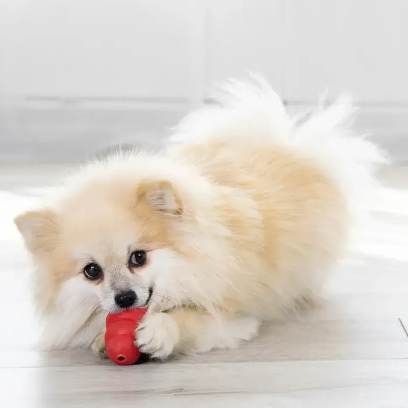 Kong X Small Classic in Red-3