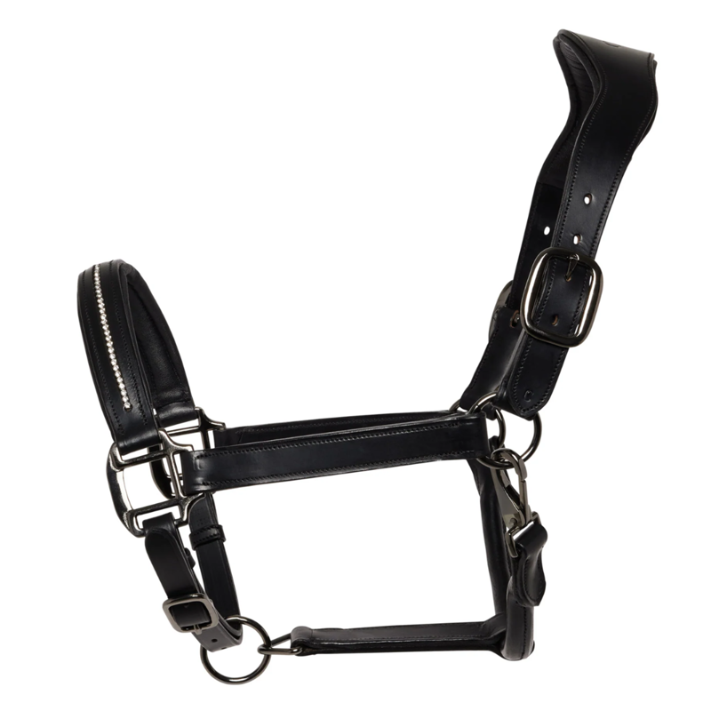 Competition Leather Headcollar and Rope - Black - Full