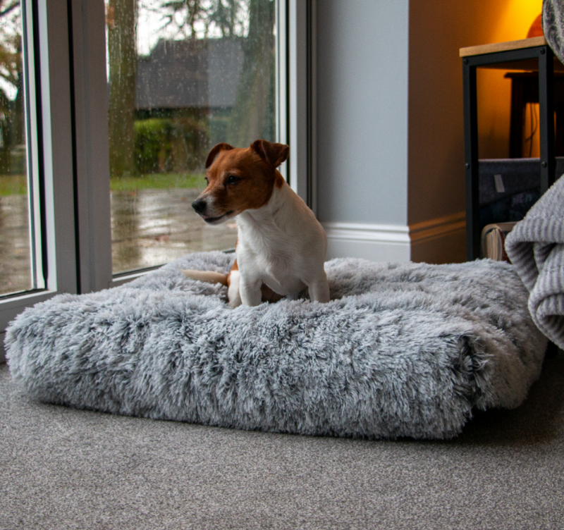 Super Plush Mattress 75x6-1