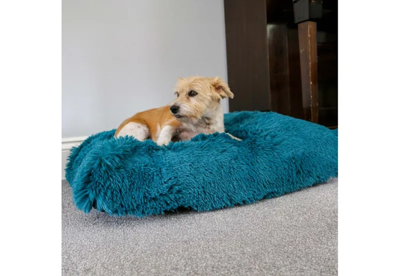 Super Plush Mattress 75x60cm teal-1