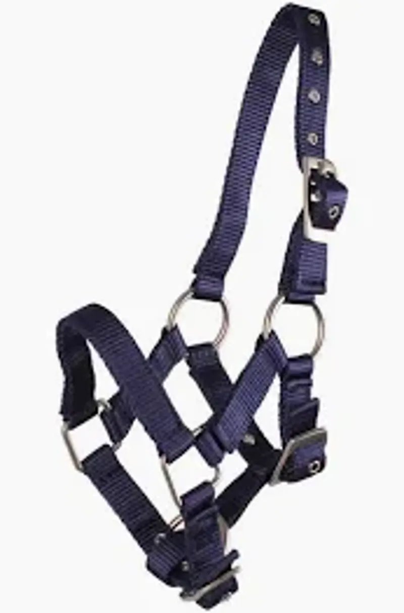 Rhinegold Nylon Foal Headcollar - Navy