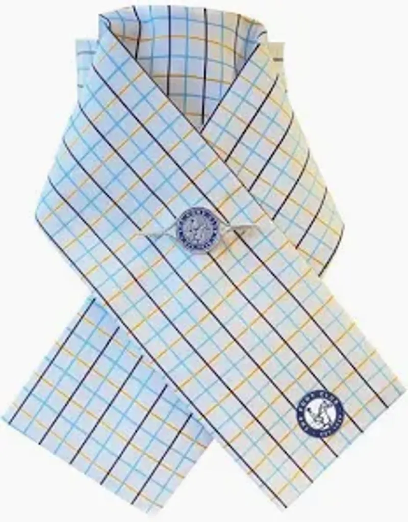 Official Pony Club Ready-Tied Stock Checked one size