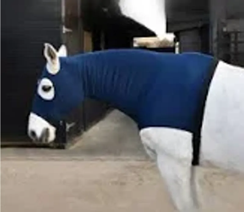 Rhinegold Lycra Hood with Face - Cob - Navy