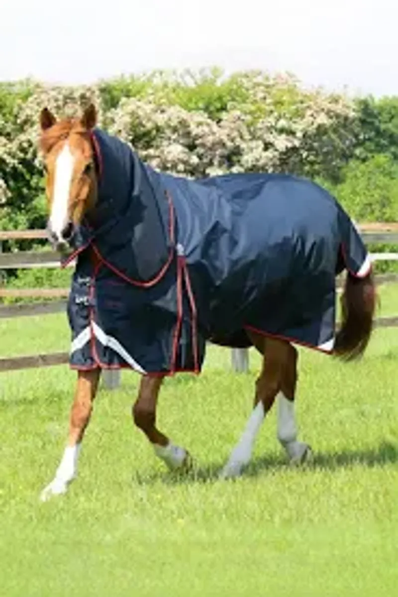 Premier Equine Buster Turnout Rug W Neck 6'3