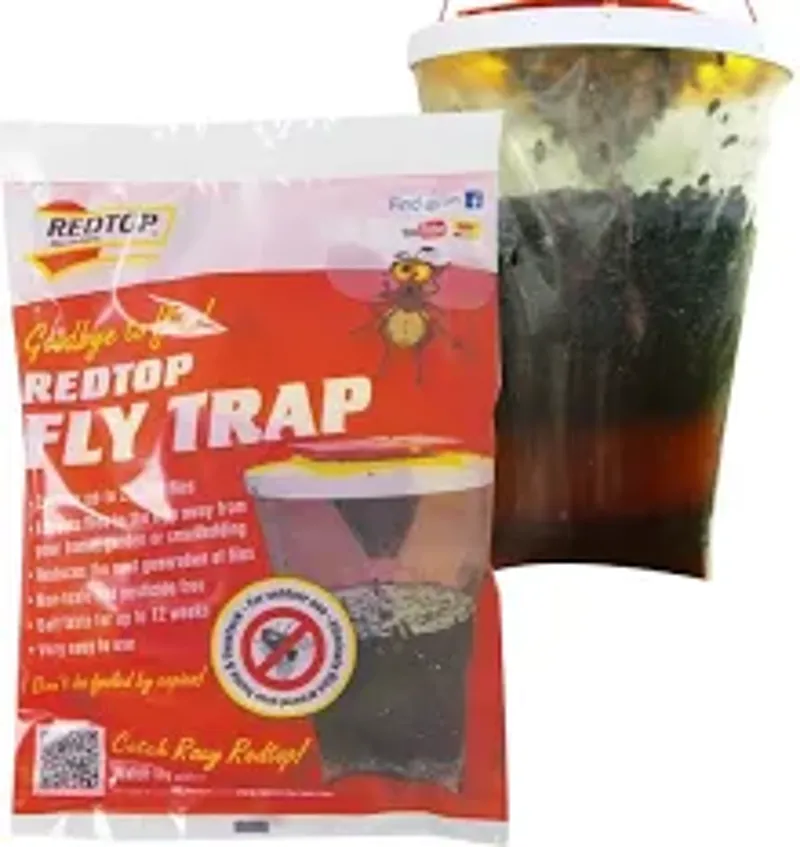 Redtop Fly Trap