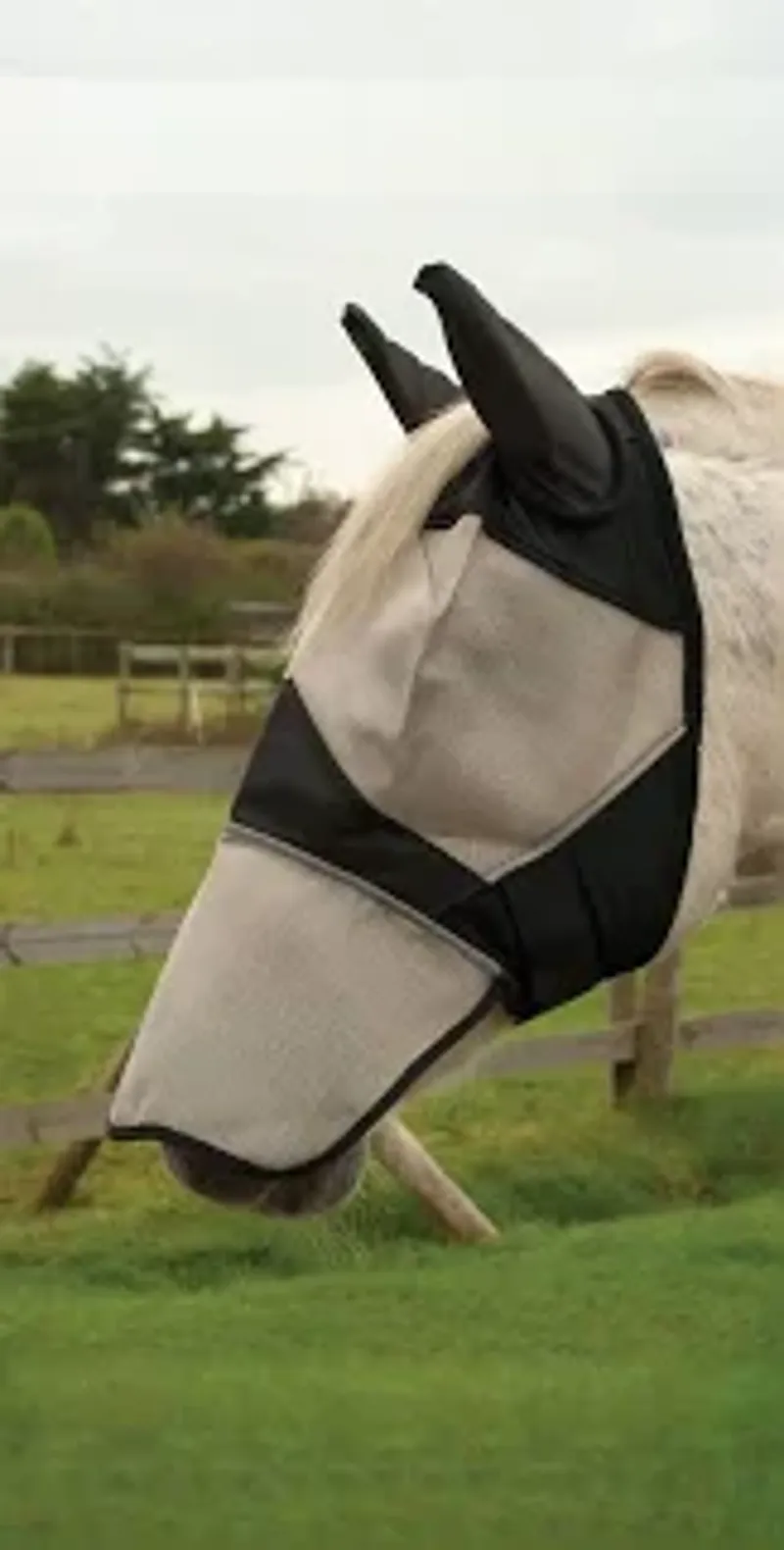 Rhinegold Fly Mask With Ears And Nose - Full
