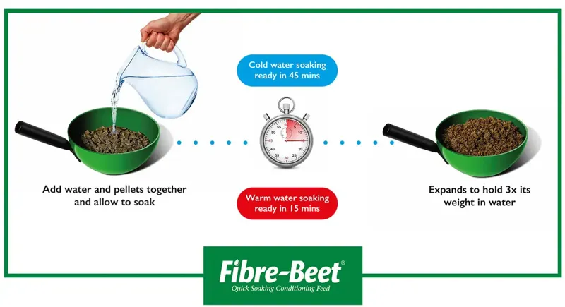 BHF Fibre-Beet-2