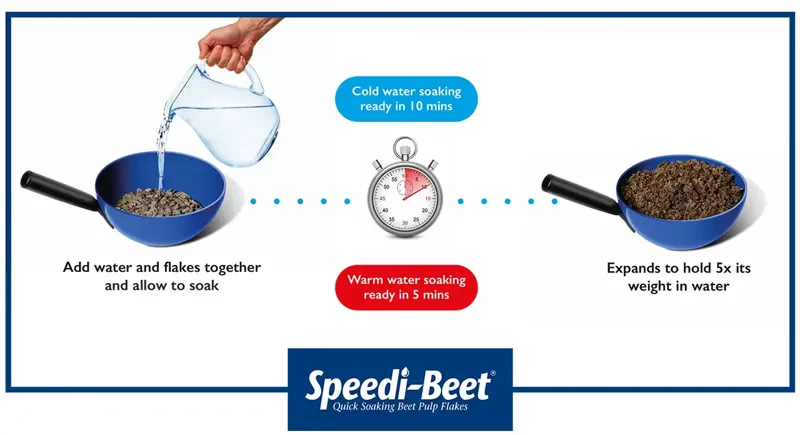 BHF Speedi-beet-2
