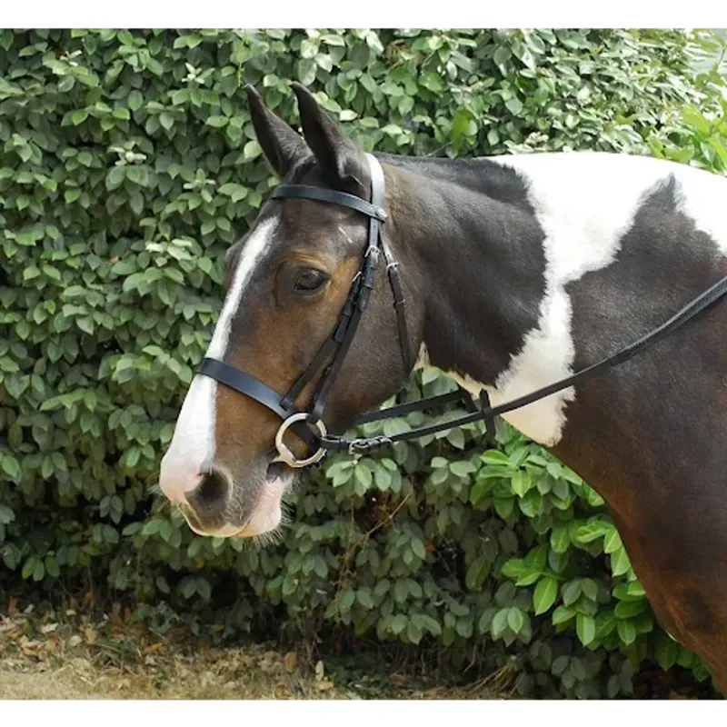 Windsor Plain Hunter Bridle - Havana