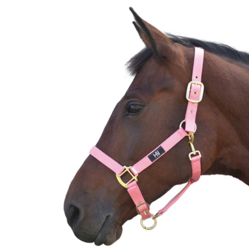 Hy Head Collar - - Baby Pink