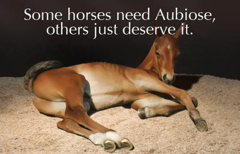 Aubiose Horse Bedding -1