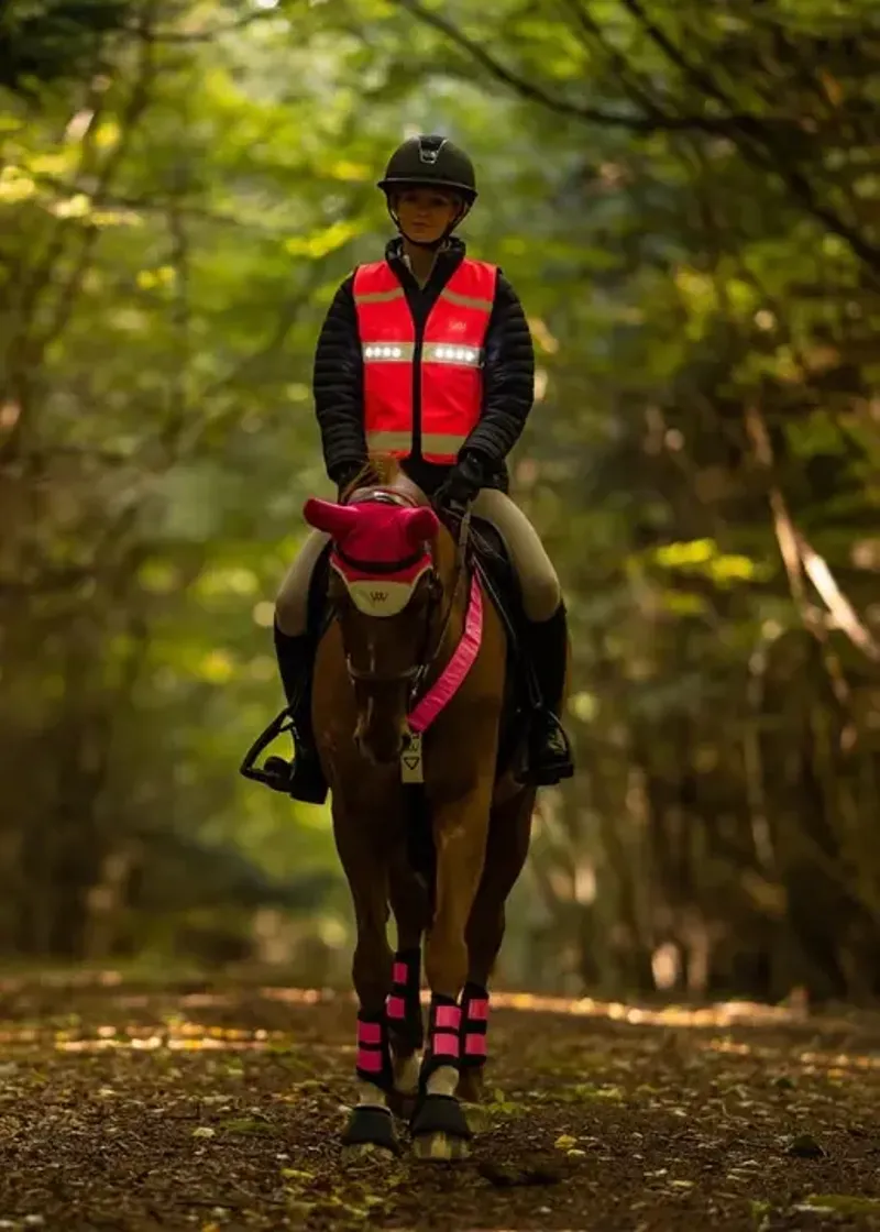 LED Hi Vis Riding Vest Medium