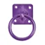 Perry Equestrian Swivel Tie Ring on Plate in Purple