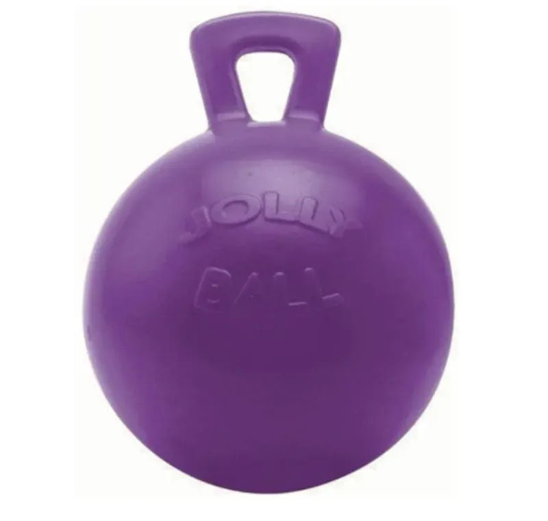 Horsemen's Pride Jolly Ball in Purple
