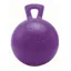 Horsemen's Pride Jolly Ball in Purple