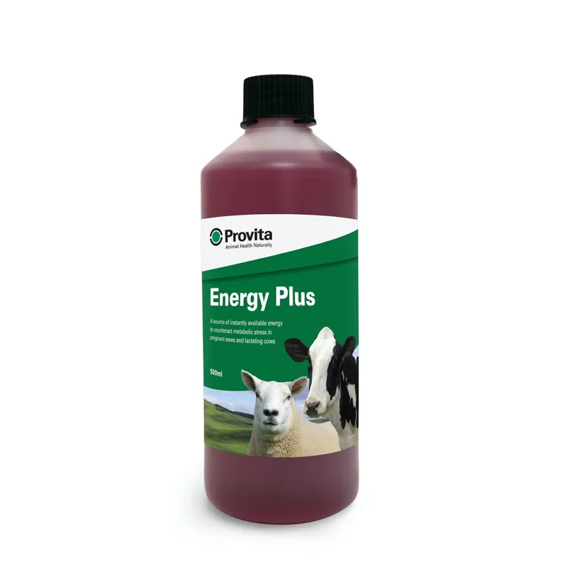 Provita 500 ml Energy Plus