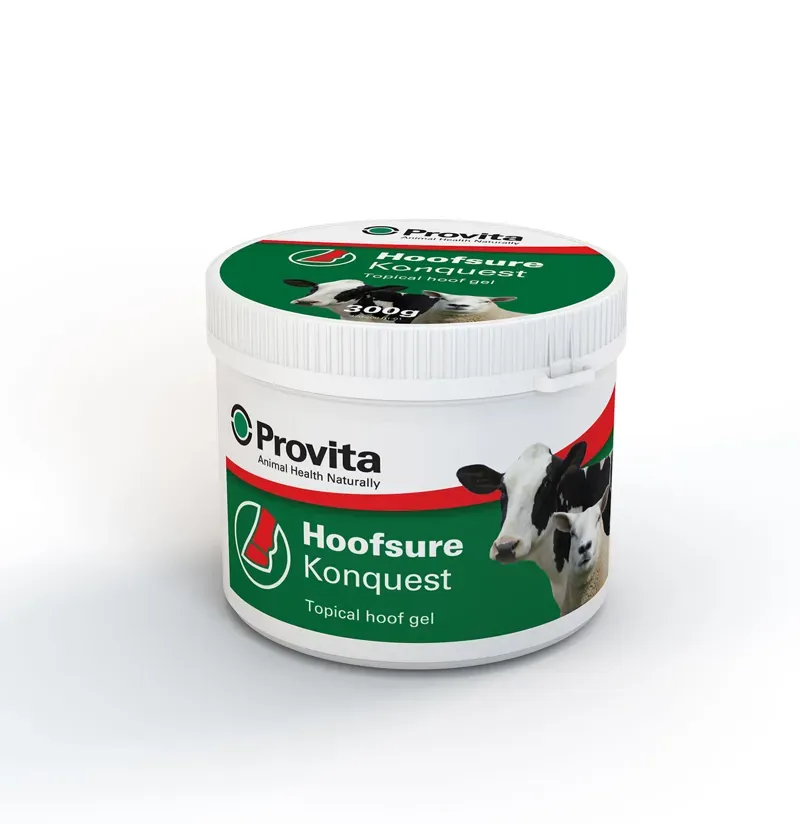 Provita 300 gm tub Hoofsure Konquest