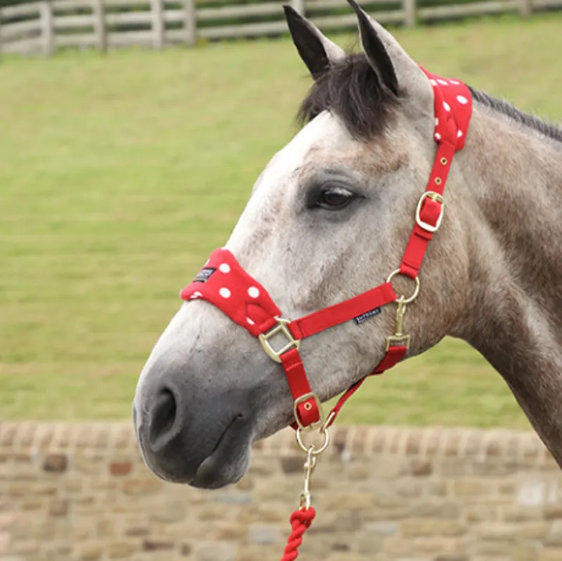 Supreme Products Dotty Fleece Head Collar and Lead Rope in Rosette Red