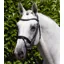 Premier Equine Rivere Snaffle Bridle in Black