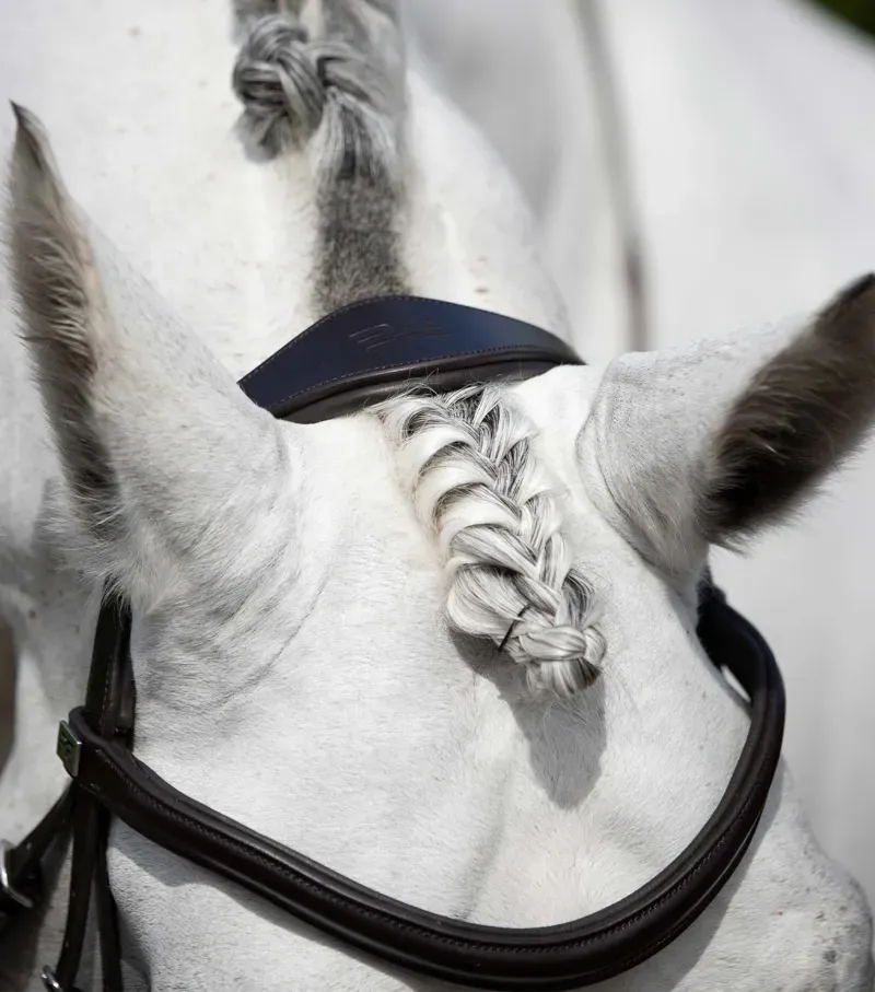 Premier Equine Rivere Snaffle Bridle in Brown-1