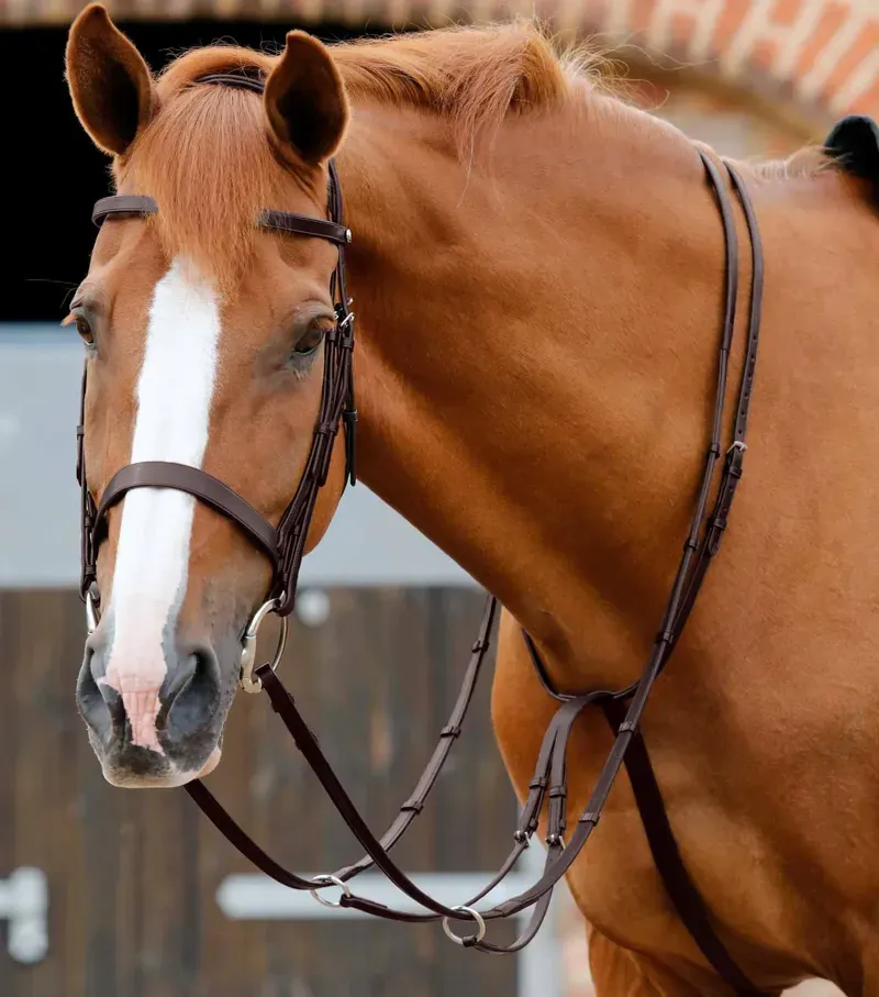 Santadi Adjustable Running Martingale / Brown-1