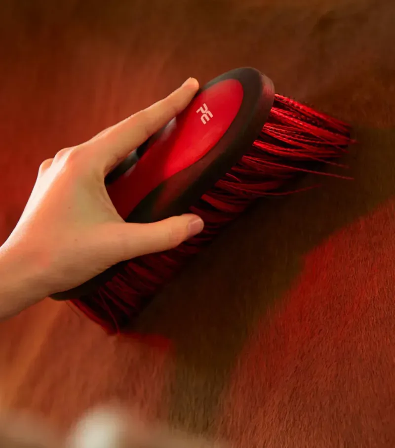 Premier Equine Soft-Touch Dandy Brush Long Bristles in Black Red-1