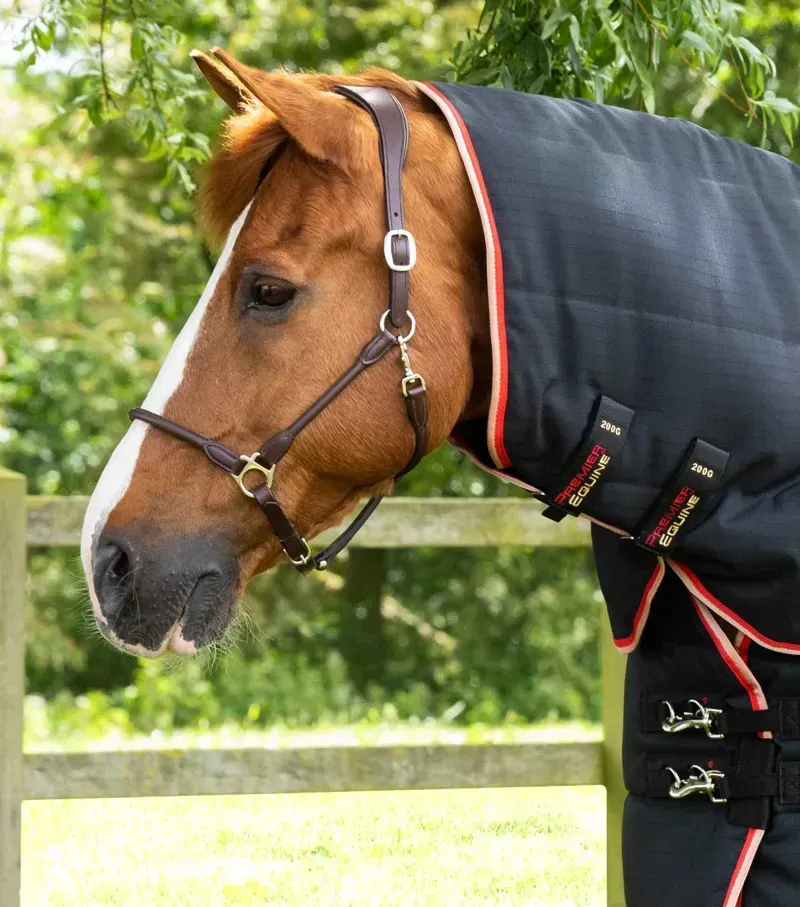 Premier Equine 200g Stable Buster Stable Rug with Neck Cover in Black-1