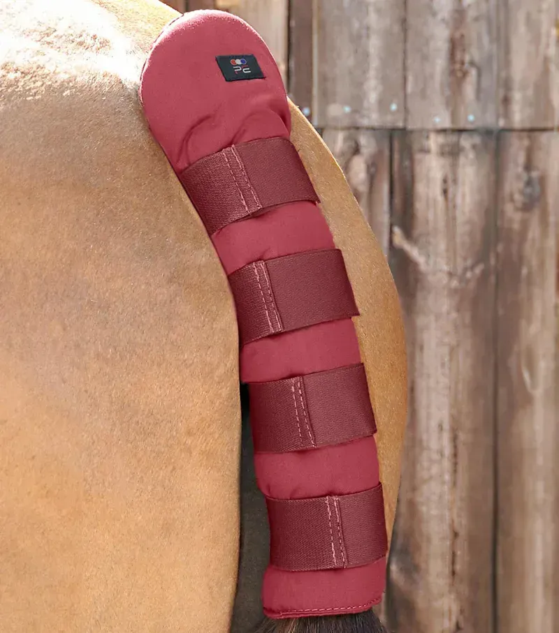 Premier Equine Stay-Up Horse Tail Guard in Burgundy