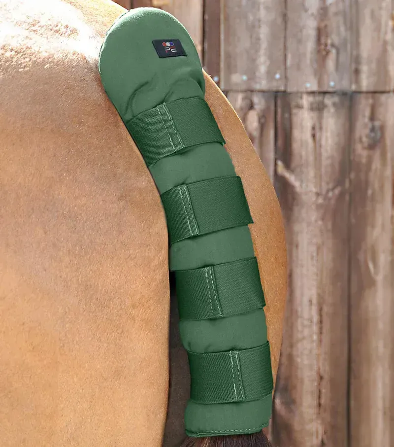 Premier Equine Stay-Up Horse Tail Guard in Green