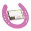 Stubbs Horseshoe Name Plate in Pink