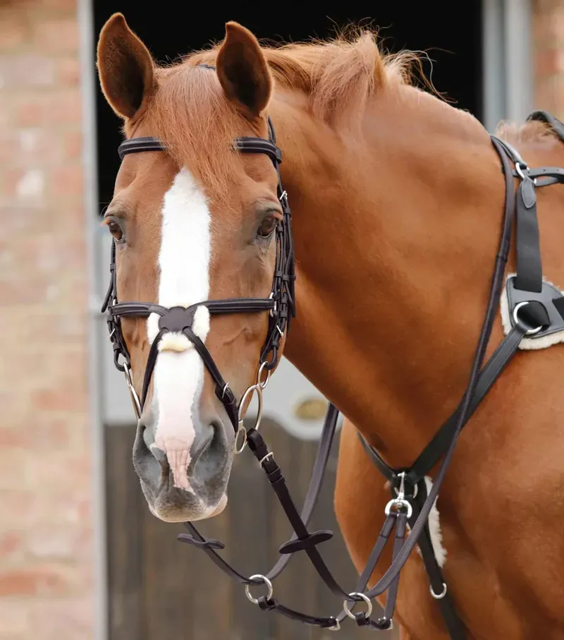 Stefano Rubber Reins / Brown f (54)-1