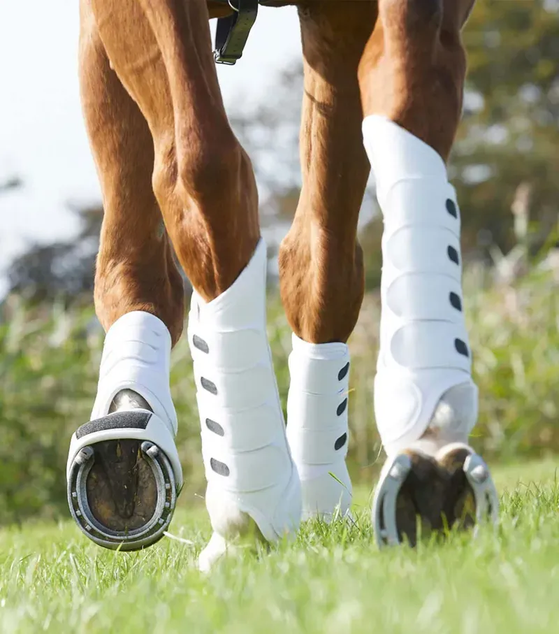 Premier Equine Set Of 4 One Size Studs For Soft/Deep Ground in Silver-1