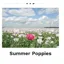 Kevin Milner Countryside Cards in Summer Poppies