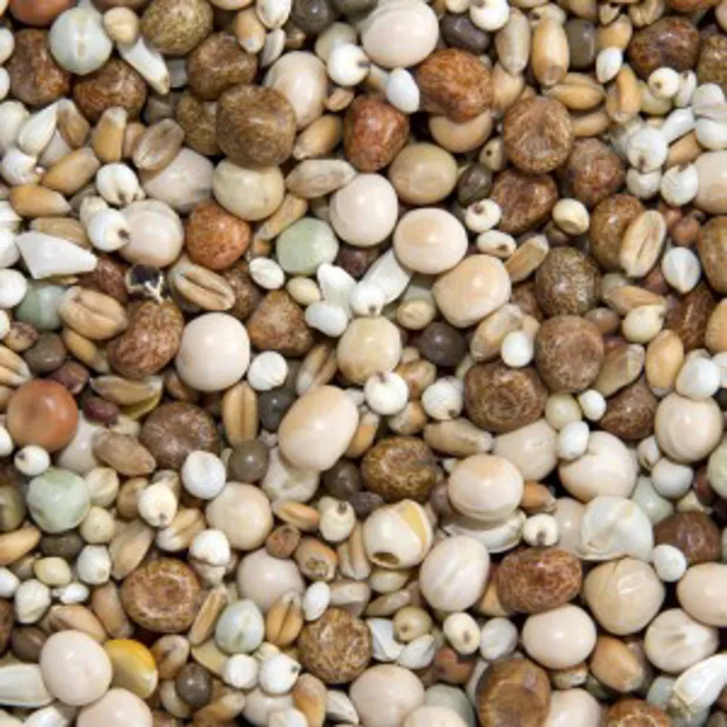 Bamfords Top Flight Super Young Bird 20kg-1