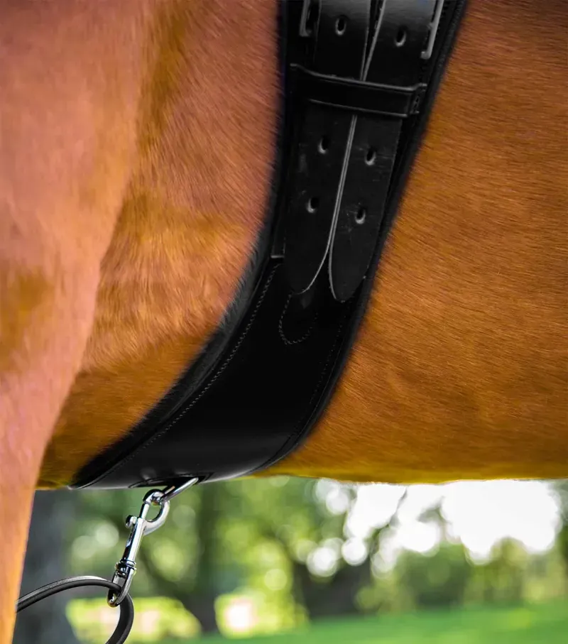 Premier Equine Techno Wool Anti-Slip Tail Guard in Black-3