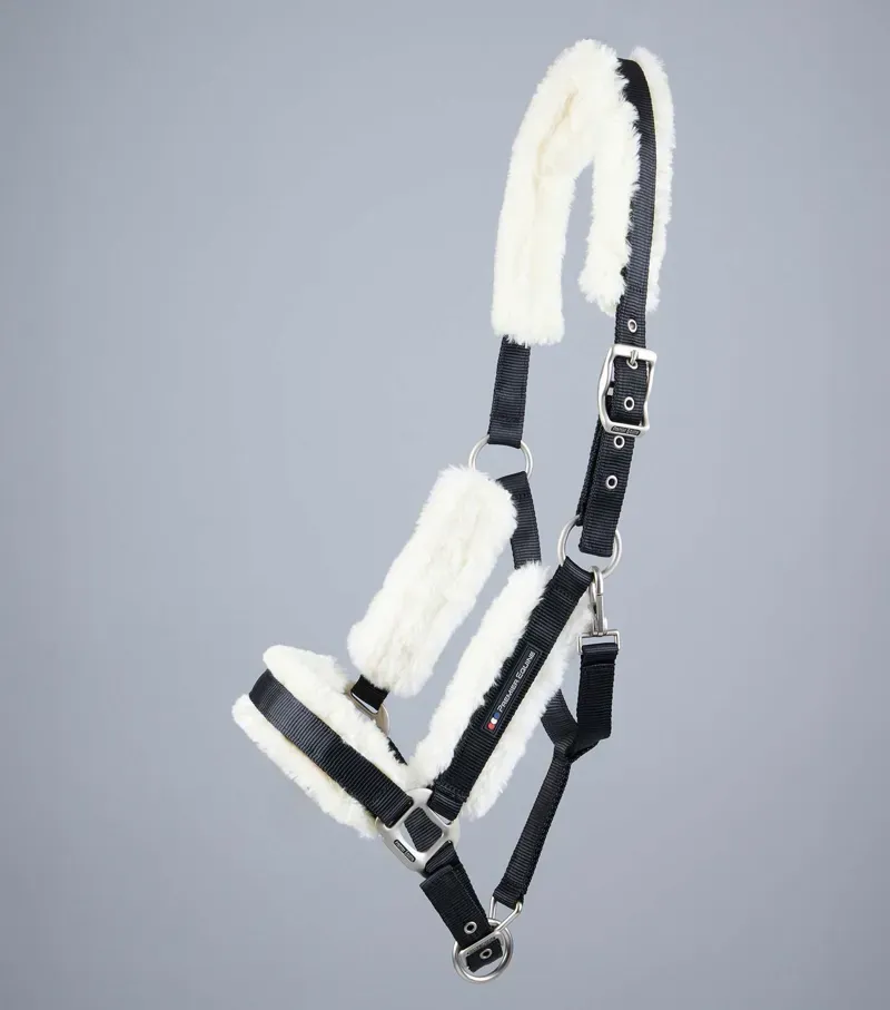 Premier Equine Techno Wool Lined Head Collar in Black-1