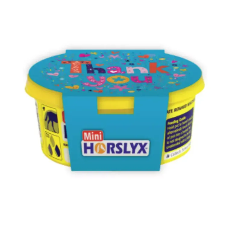 Horslyx Mini Gift Sleeve - Thank You