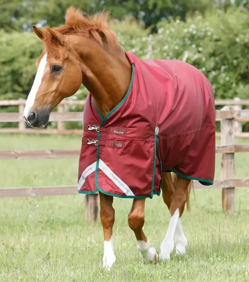 Premier Equine 100g Titan Original Turnout Rug in Burgundy