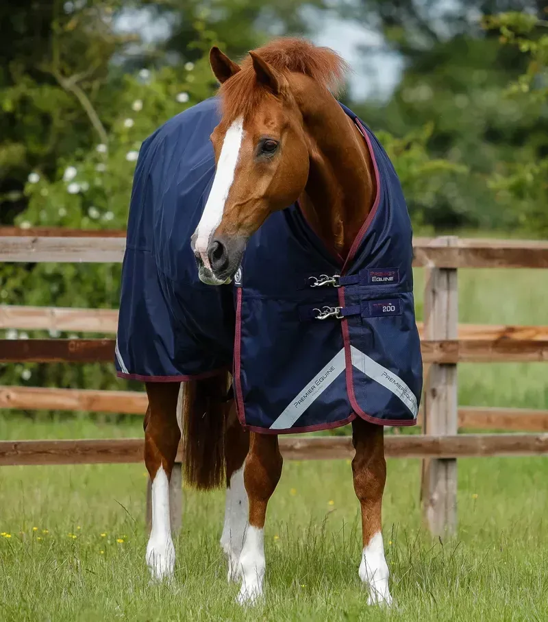 Premier Equine Titan 200g Original Turnout Rug in Navy