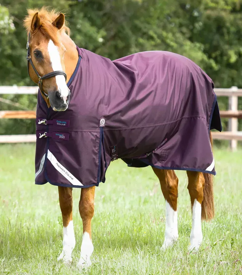 Premier Equine Titan 200g Original Turnout Rug in Purple