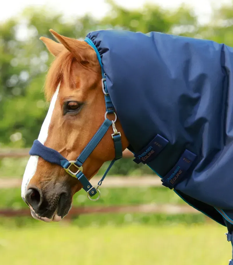 Premier Equine 200g Titan Turnout Rug With Snug-Fit Neck Cover in Navy-1