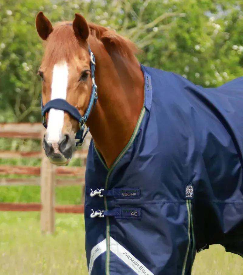 Premier Equine 40g Titan Turnout Rug With Snug-Fit Neck Cover in Navy-1