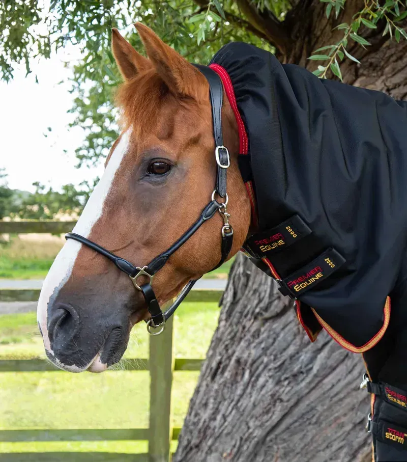 Premier Equine Titan Storm 450g Combo Turnout Rug with Snug-Fit Neck in Black-1