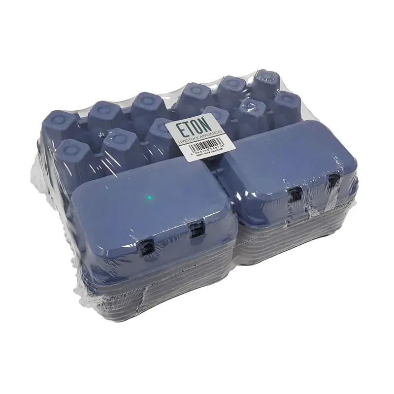 Eton 20 Pack Egg Box Plain Flat Top in Blue