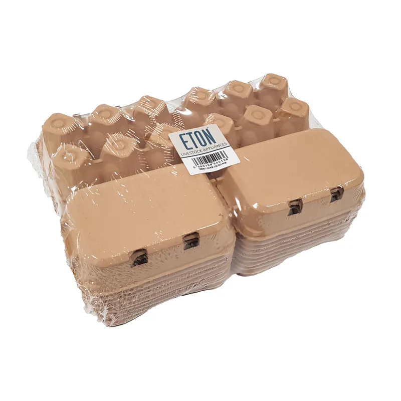 Eton 20 Pack Egg Box Plain Flat Top in Brown