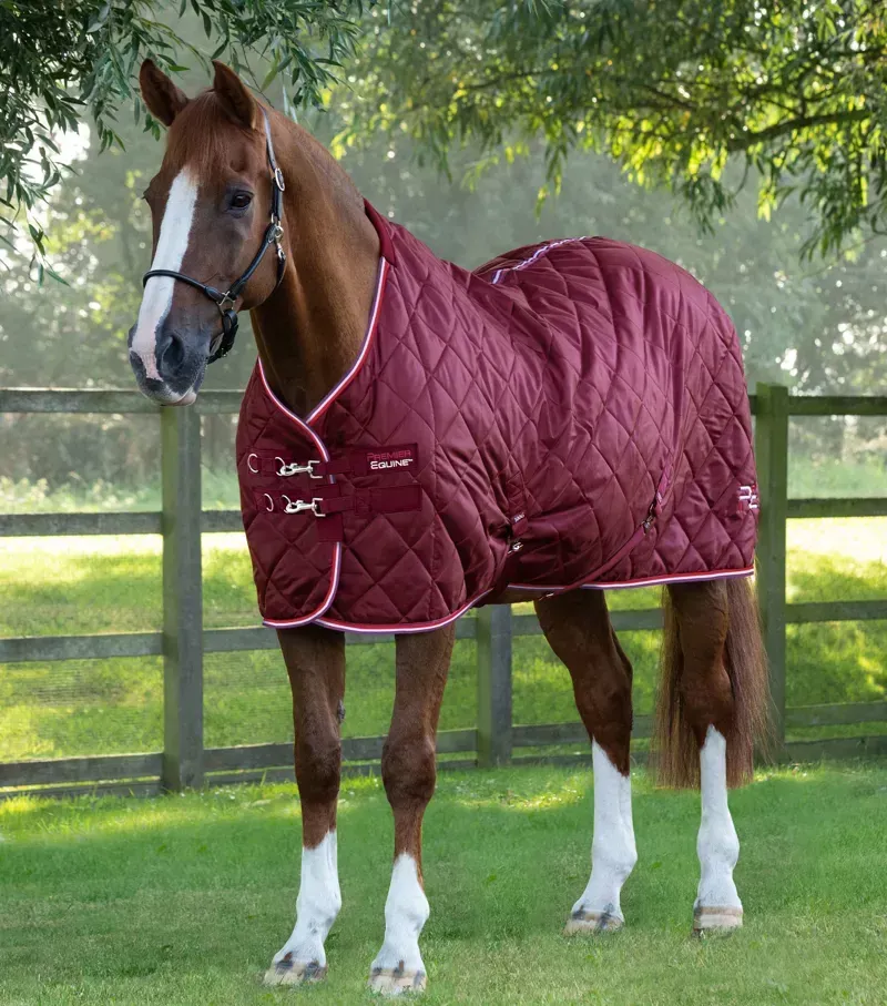 Premier Equine 100g Tuscan Stable Rug in Burgundy