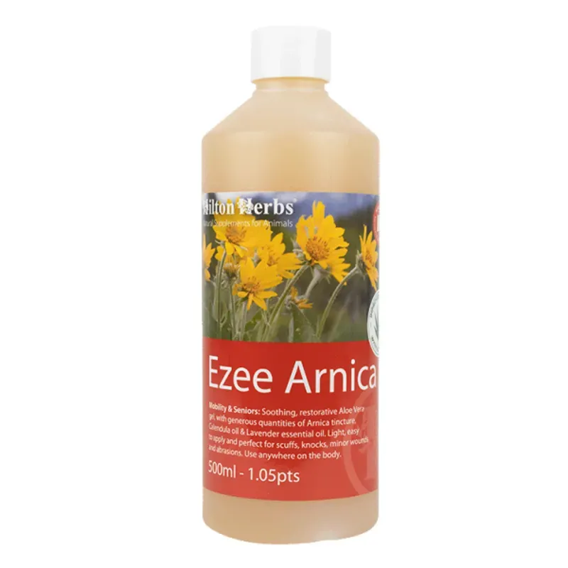 Hilton Herbs 500ml Ezee Arnica Gel