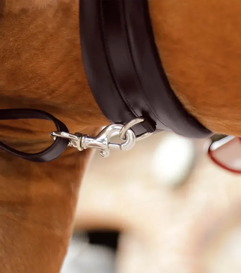 Premier Equine Valbrona Performance Breastplate in Brown-2